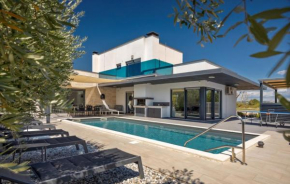 Modern villa zara with pool in Visnjan
